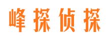 新都市调查公司